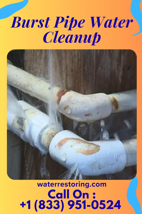 Burst Pipe Water Cleanup in Jupiter Inlet Colony, FL