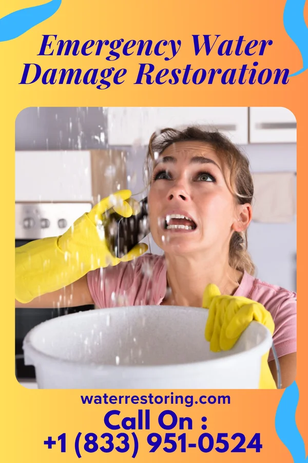 Emergency Water Damage Restoration in Jupiter Inlet Colony, FL